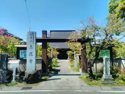 泉應寺の山門・神門