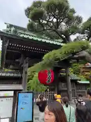 長谷寺(神奈川県)