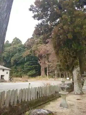 飛龍八幡宮(山口県)