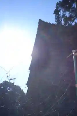 醍醐寺(京都府)