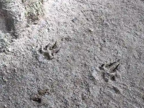 橿森神社の動物