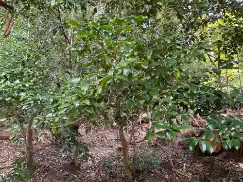 平岡八幡宮(京都府)