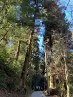 高尾山薬王院(東京都)