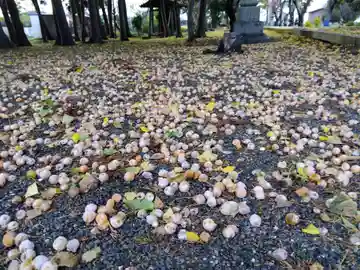 五社神社(滋賀県)