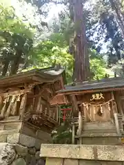 鳩ヶ嶺八幡宮(長野県)