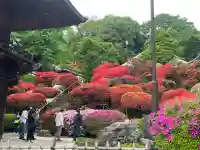 等覚院(神奈川県)