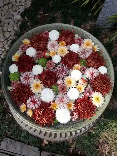 行田八幡神社の手水