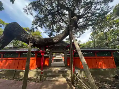 高山稲荷神社の山門