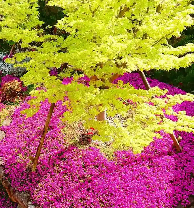 寿量山 速成寺(奈良県)