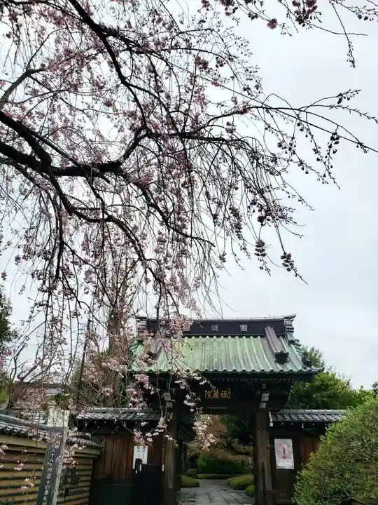 福蔵院(東京都)