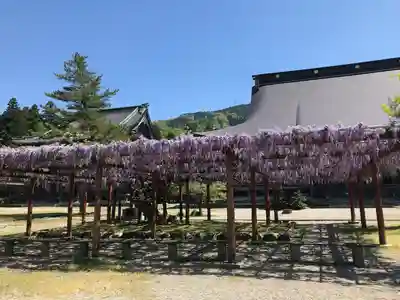 井波別院瑞泉寺(富山県)