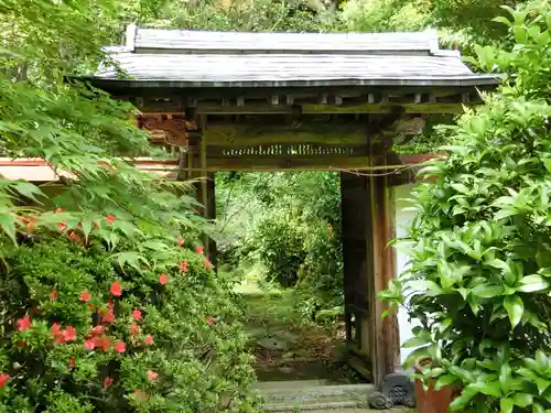 金蔵寺の山門