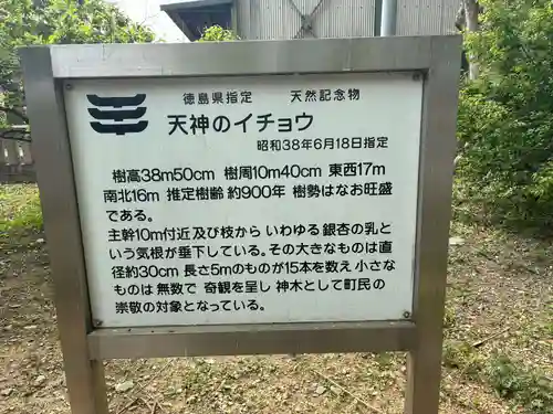 天満神社(徳島県)