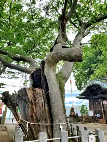 阿邪訶根神社(福島県)