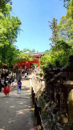 春日大社(奈良県)