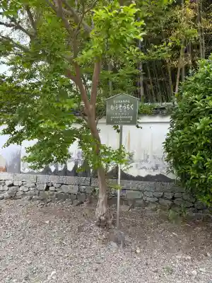 萬福寺の{uncategorized: "未分類", other: "その他", undefined: "問題あり", building: "その他建物", grave: "お墓", sacred_gate: "鳥居", guardian: "狛犬", statue: "像", buddha: "仏像", history: "歴史", nature: "自然", garden: "庭園", animal: "動物", pagoda: "塔", temizu: "手水舎", mountain_gate: "山門・神門", sanctuary: "本殿・本堂", subordinate: "末社・摂社", art: "芸術", scenery: "景色", jizo: "地蔵", ema: "絵馬", goshuin: "御朱印", omikuji: "おみくじ", items: "授与品その他", amulet: "お守り", goshuincho: "御朱印帳", eats: "食事", festival: "お祭り", votive_dance: "神楽", shichigosan: "七五三参", wedding: "結婚式", experience: "体験その他", initially: "初詣", around: "周辺", anti_infection: "感染症対策"}