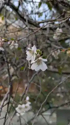 妙蓮寺(京都府)