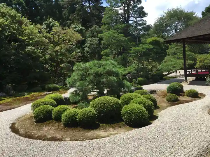 曼殊院門跡の庭園