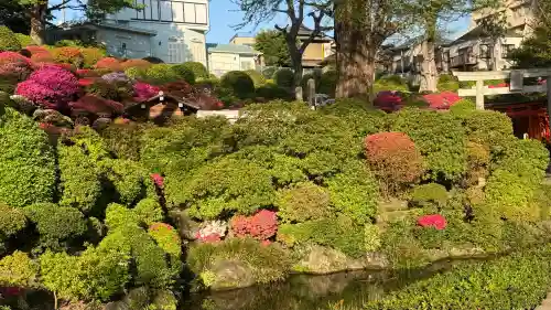 根津神社の{uncategorized: "未分類", other: "その他", undefined: "問題あり", building: "その他建物", grave: "お墓", sacred_gate: "鳥居", guardian: "狛犬", statue: "像", buddha: "仏像", history: "歴史", nature: "自然", garden: "庭園", animal: "動物", pagoda: "塔", temizu: "手水舎", mountain_gate: "山門・神門", sanctuary: "本殿・本堂", subordinate: "末社・摂社", art: "芸術", scenery: "景色", jizo: "地蔵", ema: "絵馬", goshuin: "御朱印", omikuji: "おみくじ", items: "授与品その他", amulet: "お守り", goshuincho: "御朱印帳", eats: "食事", festival: "お祭り", votive_dance: "神楽", shichigosan: "七五三参", wedding: "結婚式", experience: "体験その他", initially: "初詣", around: "周辺", anti_infection: "感染症対策"}