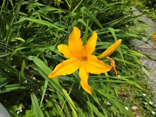 栄国寺(愛知県)