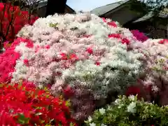 根津神社の庭園