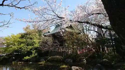 西新井大師総持寺の庭園