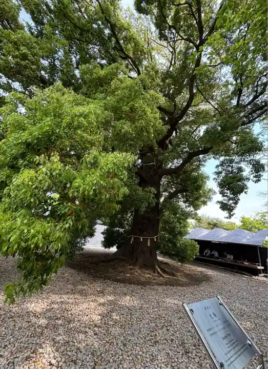 上野東照宮(東京都)