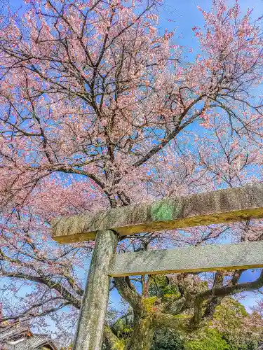 日吉社（加納）の鳥居