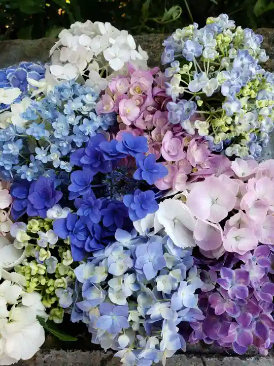 本郷氷川神社(東京都)