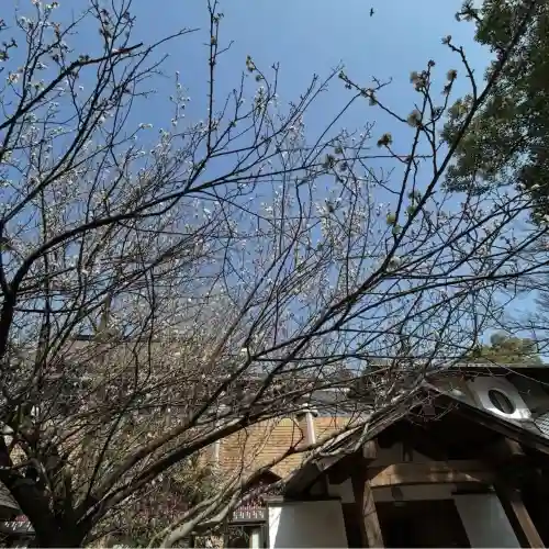 長楽寺の{uncategorized: "未分類", other: "その他", undefined: "問題あり", building: "その他建物", grave: "お墓", sacred_gate: "鳥居", guardian: "狛犬", statue: "像", buddha: "仏像", history: "歴史", nature: "自然", garden: "庭園", animal: "動物", pagoda: "塔", temizu: "手水舎", mountain_gate: "山門・神門", sanctuary: "本殿・本堂", subordinate: "末社・摂社", art: "芸術", scenery: "景色", jizo: "地蔵", ema: "絵馬", goshuin: "御朱印", omikuji: "おみくじ", items: "授与品その他", amulet: "お守り", goshuincho: "御朱印帳", eats: "食事", festival: "お祭り", votive_dance: "神楽", shichigosan: "七五三参", wedding: "結婚式", experience: "体験その他", initially: "初詣", around: "周辺", anti_infection: "感染症対策"}