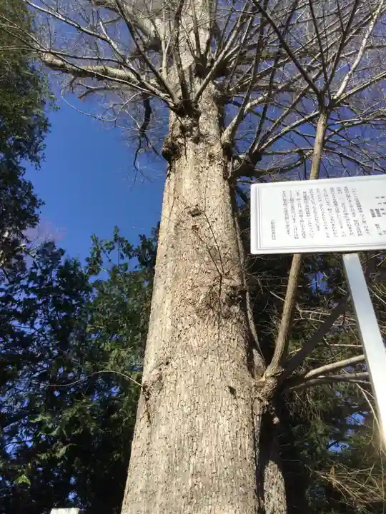 深見神社の自然