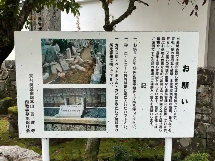 西教寺の{uncategorized: "未分類", other: "その他", undefined: "問題あり", building: "その他建物", grave: "お墓", sacred_gate: "鳥居", guardian: "狛犬", statue: "像", buddha: "仏像", history: "歴史", nature: "自然", garden: "庭園", animal: "動物", pagoda: "塔", temizu: "手水舎", mountain_gate: "山門・神門", sanctuary: "本殿・本堂", subordinate: "末社・摂社", art: "芸術", scenery: "景色", jizo: "地蔵", ema: "絵馬", goshuin: "御朱印", omikuji: "おみくじ", items: "授与品その他", amulet: "お守り", goshuincho: "御朱印帳", eats: "食事", festival: "お祭り", votive_dance: "神楽", shichigosan: "七五三参", wedding: "結婚式", experience: "体験その他", initially: "初詣", around: "周辺", anti_infection: "感染症対策"}