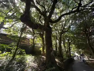 最御崎寺(高知県)