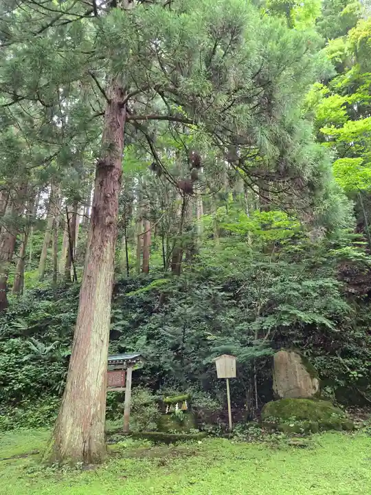 薬師寺(石川県)