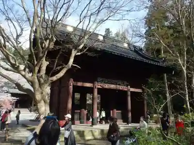 妙本寺の山門・神門