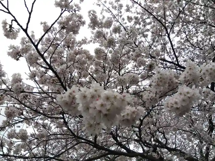 江守神社(福井県)