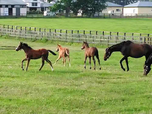 十勝神社の周辺