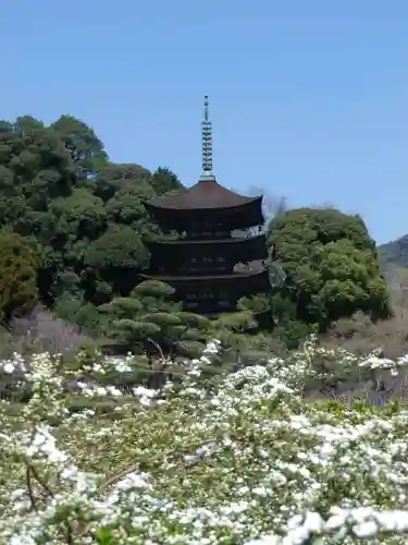 瑠璃光寺(山口県)