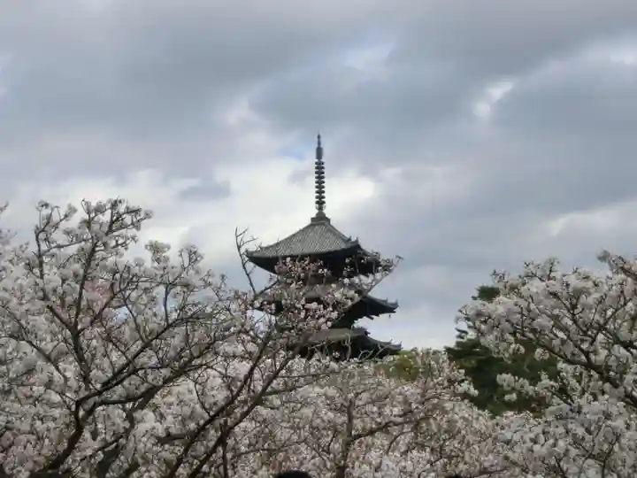 仁和寺のその他建物