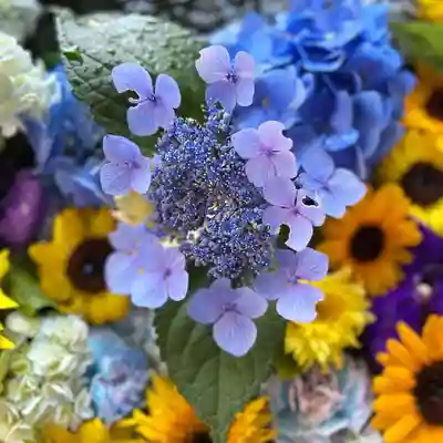 札幌諏訪神社の手水舎