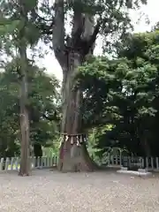 彌美神社(福井県)