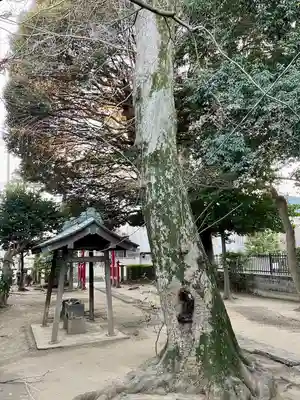 山神神社(埼玉県)