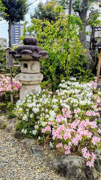 菊田神社の自然