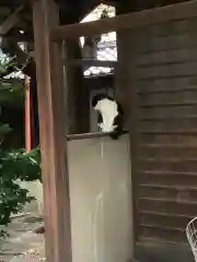 徳照寺の動物