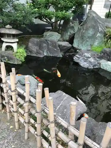 甚行寺の庭園