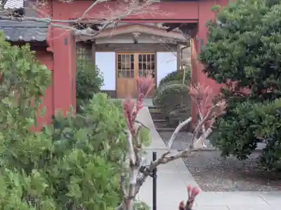 豪徳寺(東京都)