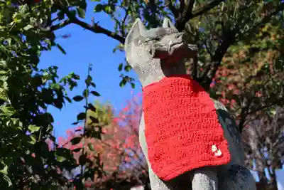 開成山大神宮の狛犬