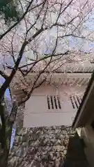 行田八幡神社の自然