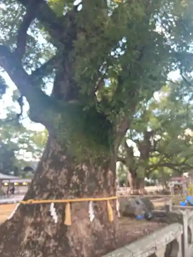 諫早神社（九州総守護  四面宮）(長崎県)
