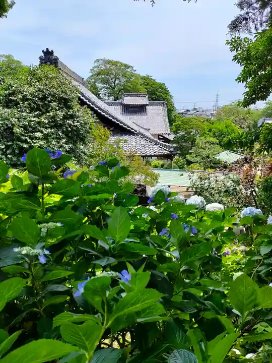 性海寺の本殿・本堂